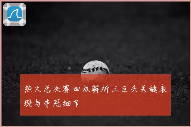 热火总决赛回放解析三巨头关键表现与夺冠细节